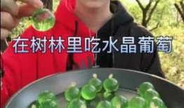 水晶哥现场吃瓜