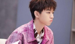 娱乐吃瓜王俊凯,娱乐圈的“吃瓜王”揭秘