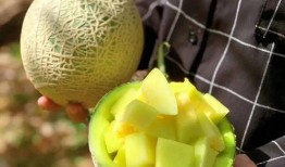 娱乐吃瓜在国外,揭秘海外“吃瓜”文化现象