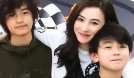 娱乐圈吃瓜张柏芝被气到入院,娱乐圈风波再起